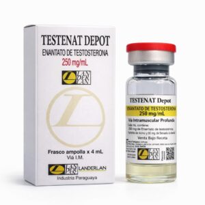 TESTENAT (enantato de testo) 250MG 4ML-Landerlan