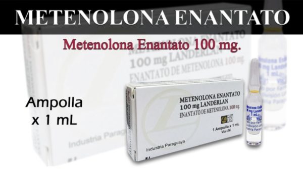 Metenolona Enantato 100mg